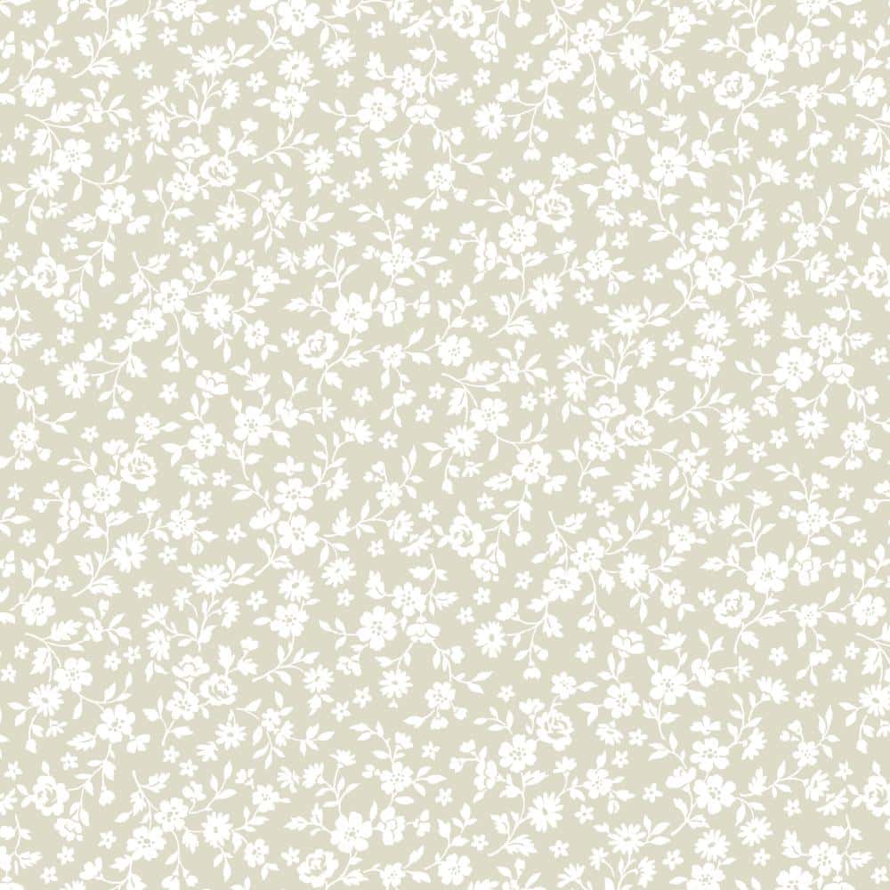 精梳平織布 漆加工 色號 05