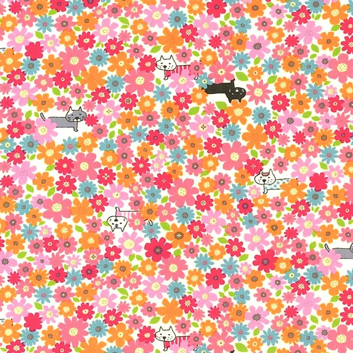 花田貓 色號 01