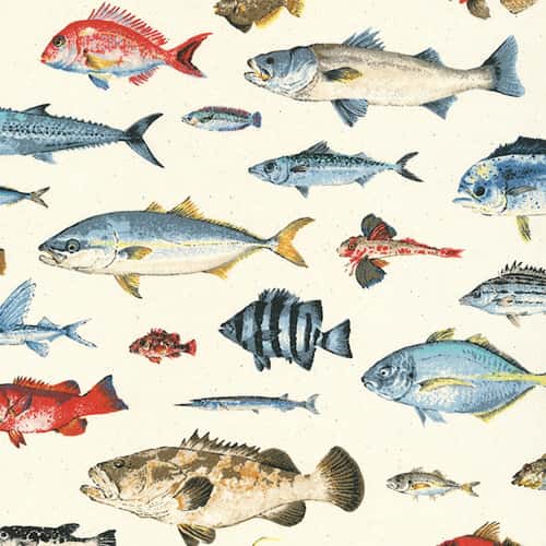 魚圖案斜紋布 色號 01