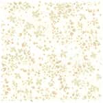 精梳平織布 色號 01