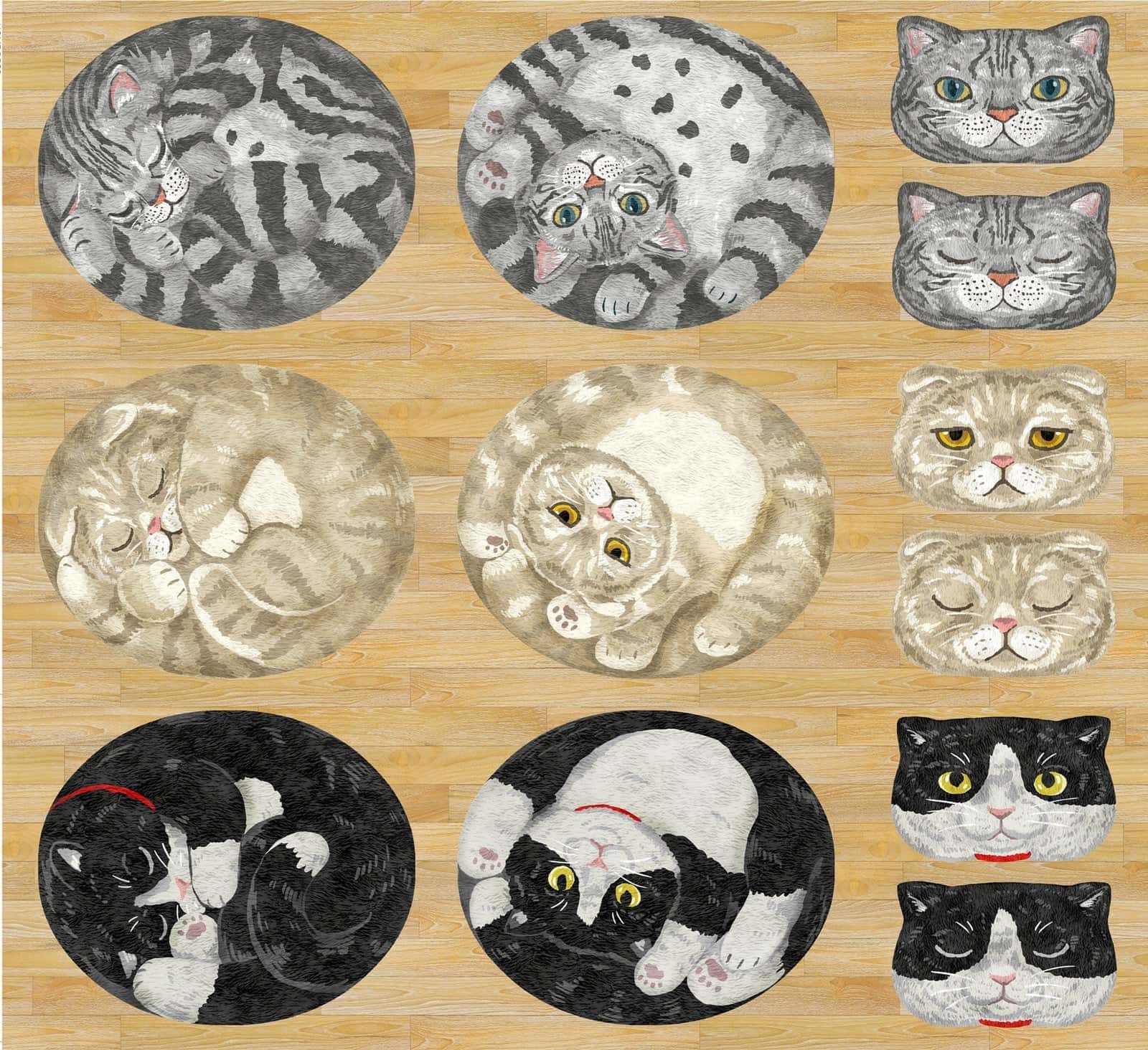 HOME DECO 動物定位布（貓咪盆栽／虎斑貓毛球） 色號 01