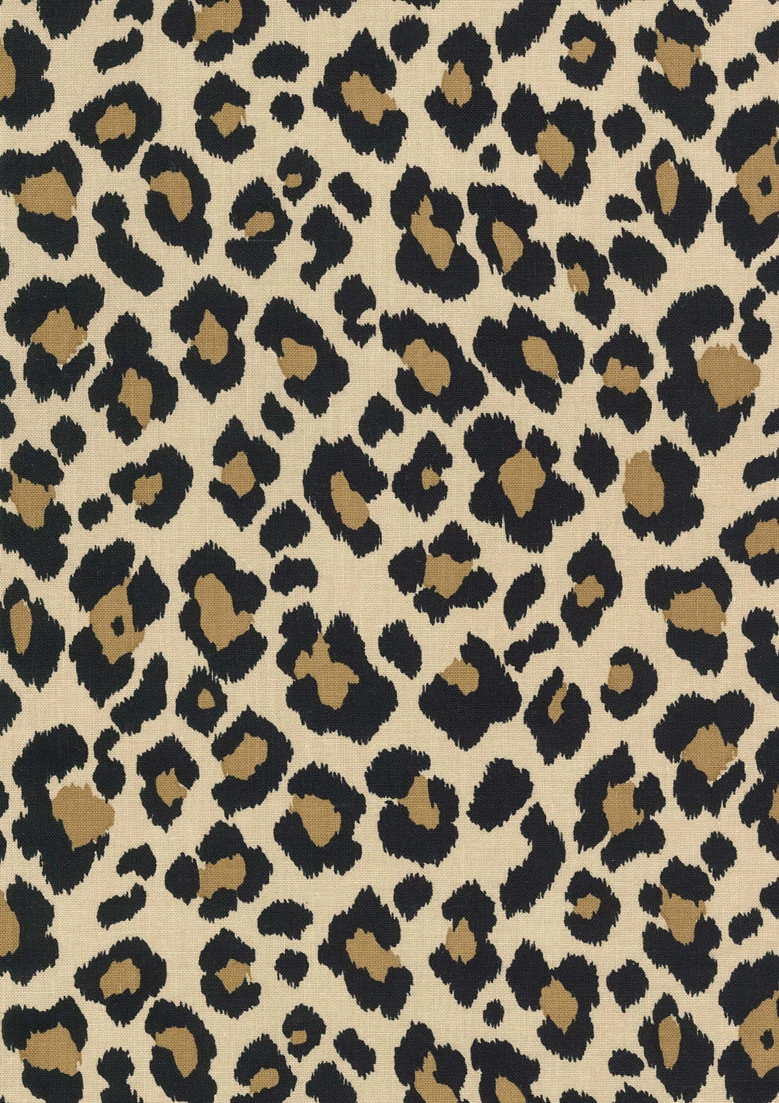Animal pattern 色號 01