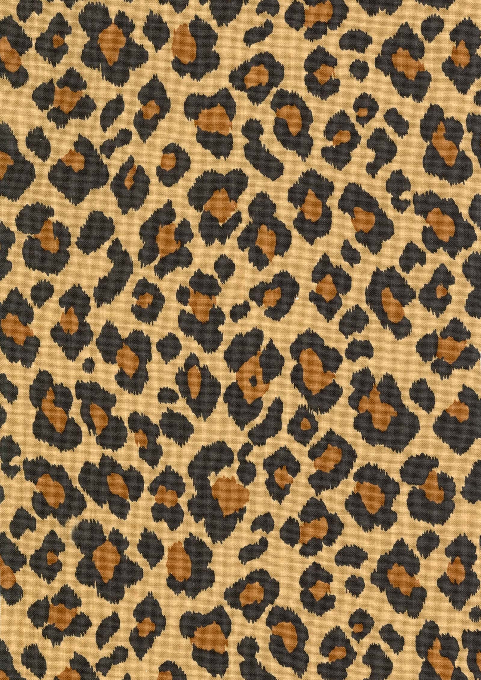 Animal pattern 色號 02