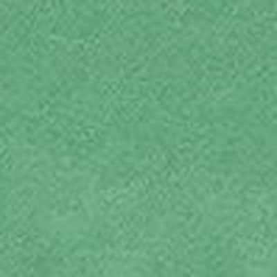 sushi lawn 細棉布 色號 11