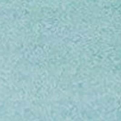 棉/棉混斜紋薄棉布 色號 11