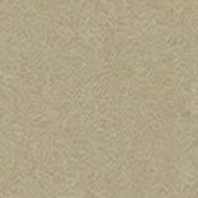 BEYOND GENDAI 卡其斜紋布 色號 03