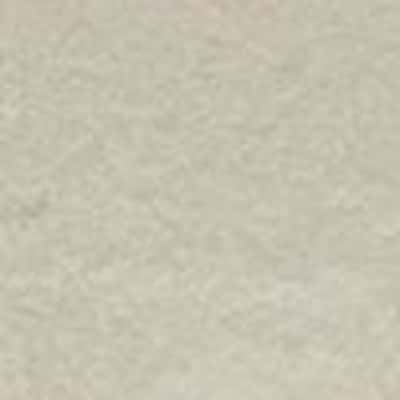 100/2 燒毛薄棉布 色號 05