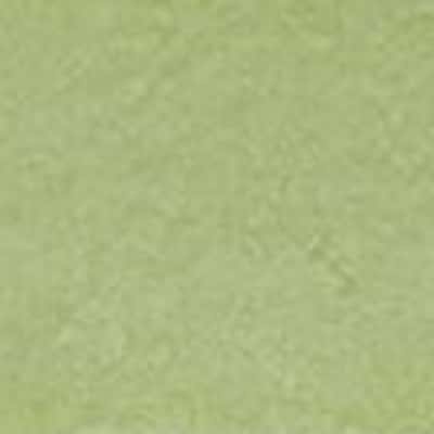 100/2 燒毛薄棉布 色號 12