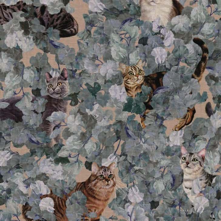 A Cat's Walk 平織細布 色號 01