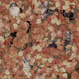 A Cat's Walk 平織細布 色號 03