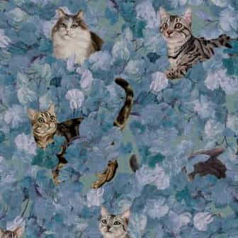 A Cat's Walk 平織細布 色號 04