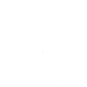 60支細棉布（寬幅） 色號 06