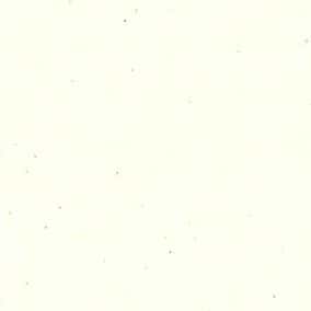 30支棉平織布 色號 09
