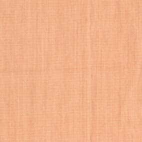 TENCEL(TM)萊賽爾/棉/麻竹節紗細棉布 色號 03