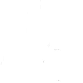80支精梳棉薄紗洛基巴爾加工 色號 09