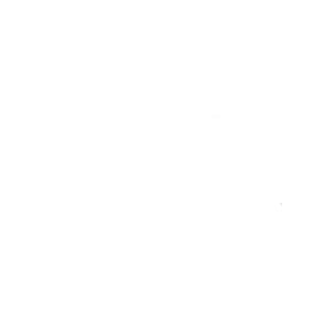 CIFOLA(R) 波紋薄紗布 色號 05