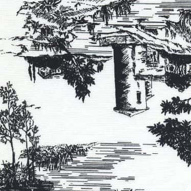 棉40府綢印花 色號 01