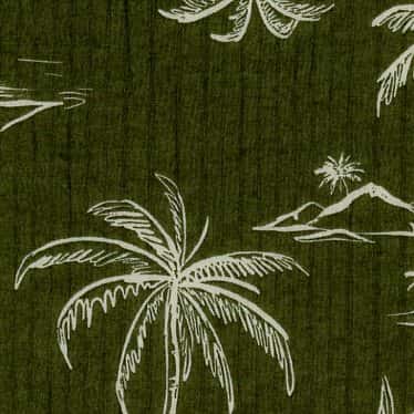 棉60細棉布波紋加工印花 色號 02
