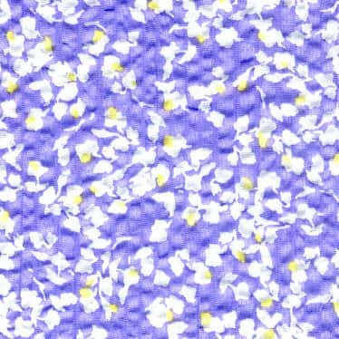 棉80支細棉布 Miracle Wave印花 色號 01