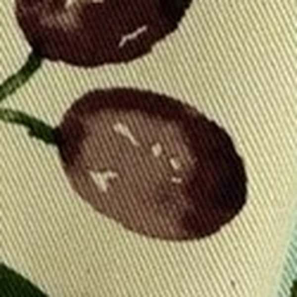 橄欖果實圖案斜紋布 色號 03