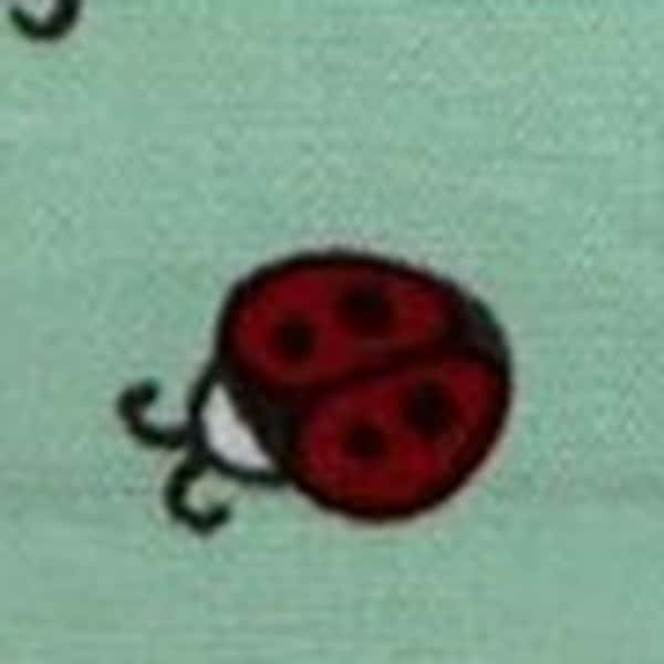 ladybug 府綢 色號 06