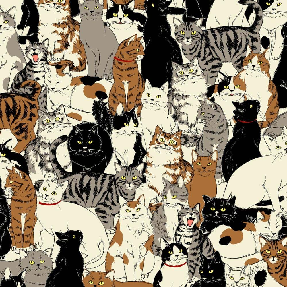 動物印花布 色號 01