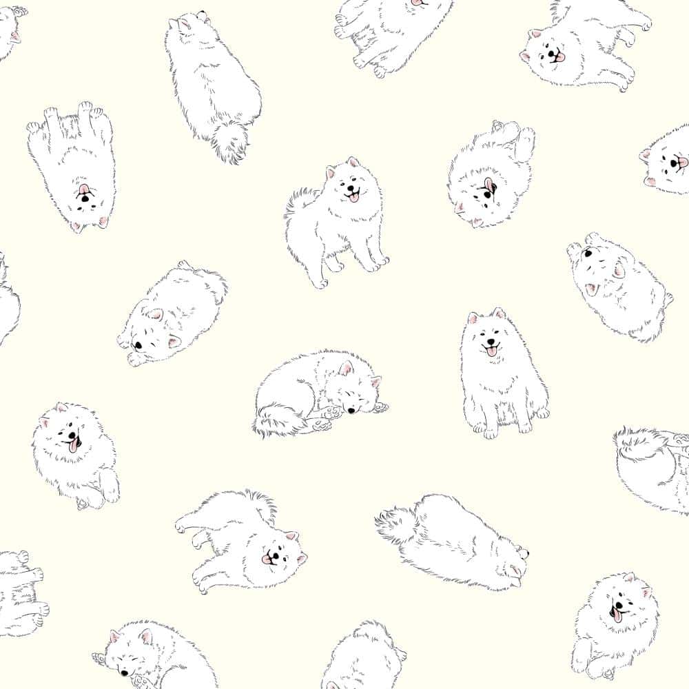 動物圖案 色號 01
