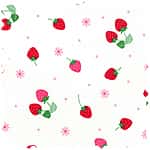 tiptop 牛津布 色號 01