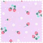 tiptop 牛津布 色號 04