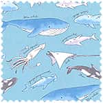 tiptop 牛津布 色號 02