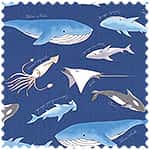 tiptop 牛津布 色號 04