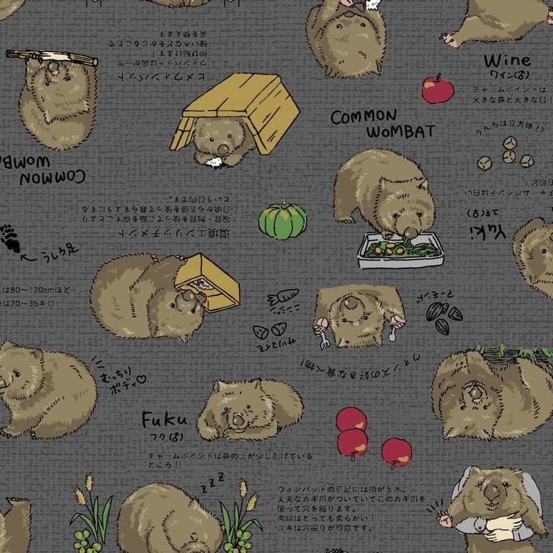動物圖案 色號 05