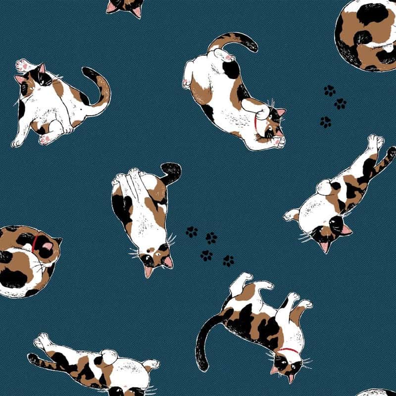 動物圖案 色號 08