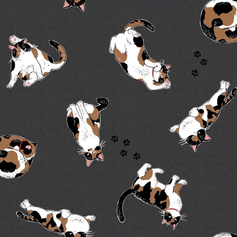 動物圖案 色號 09