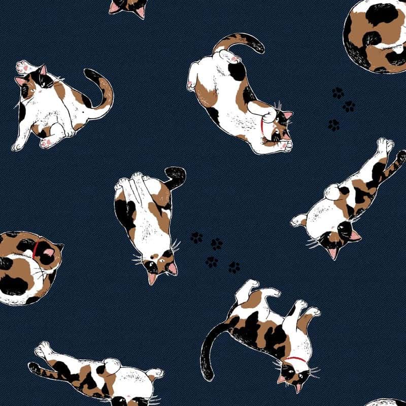 動物圖案 色號 10