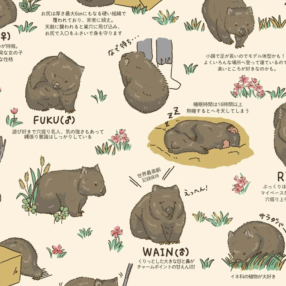 文字圖案 色號 01