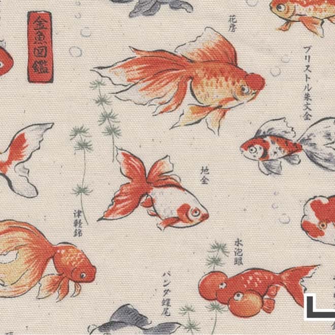 圖鑑系列 金魚圖鑑 色號 01