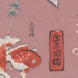 圖鑑系列 金魚圖鑑 色號 02