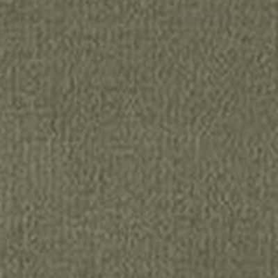 Sheltering Dry 牛津布 色號 07