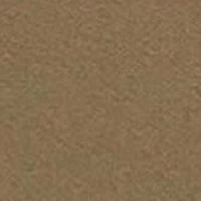 SANDSTORM T/C 牛津布 色號 07