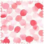 二重紗 色號 01