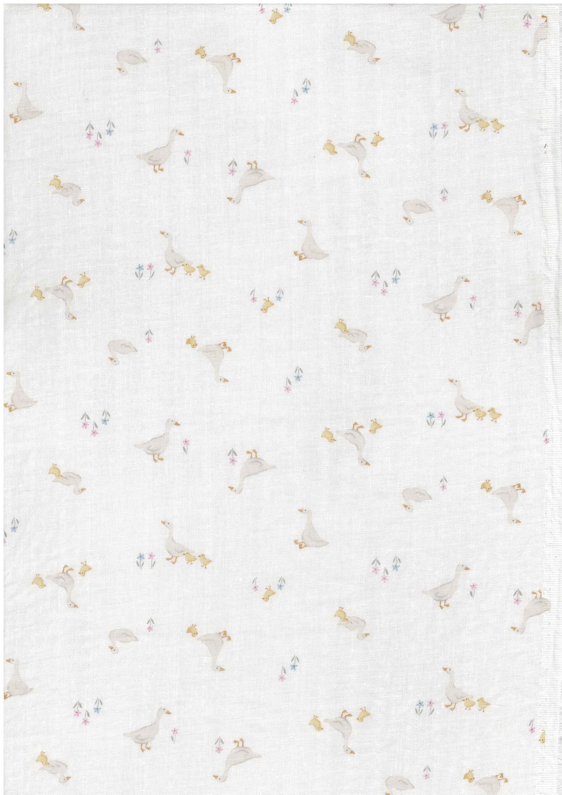 ROYALBABY 色號 05