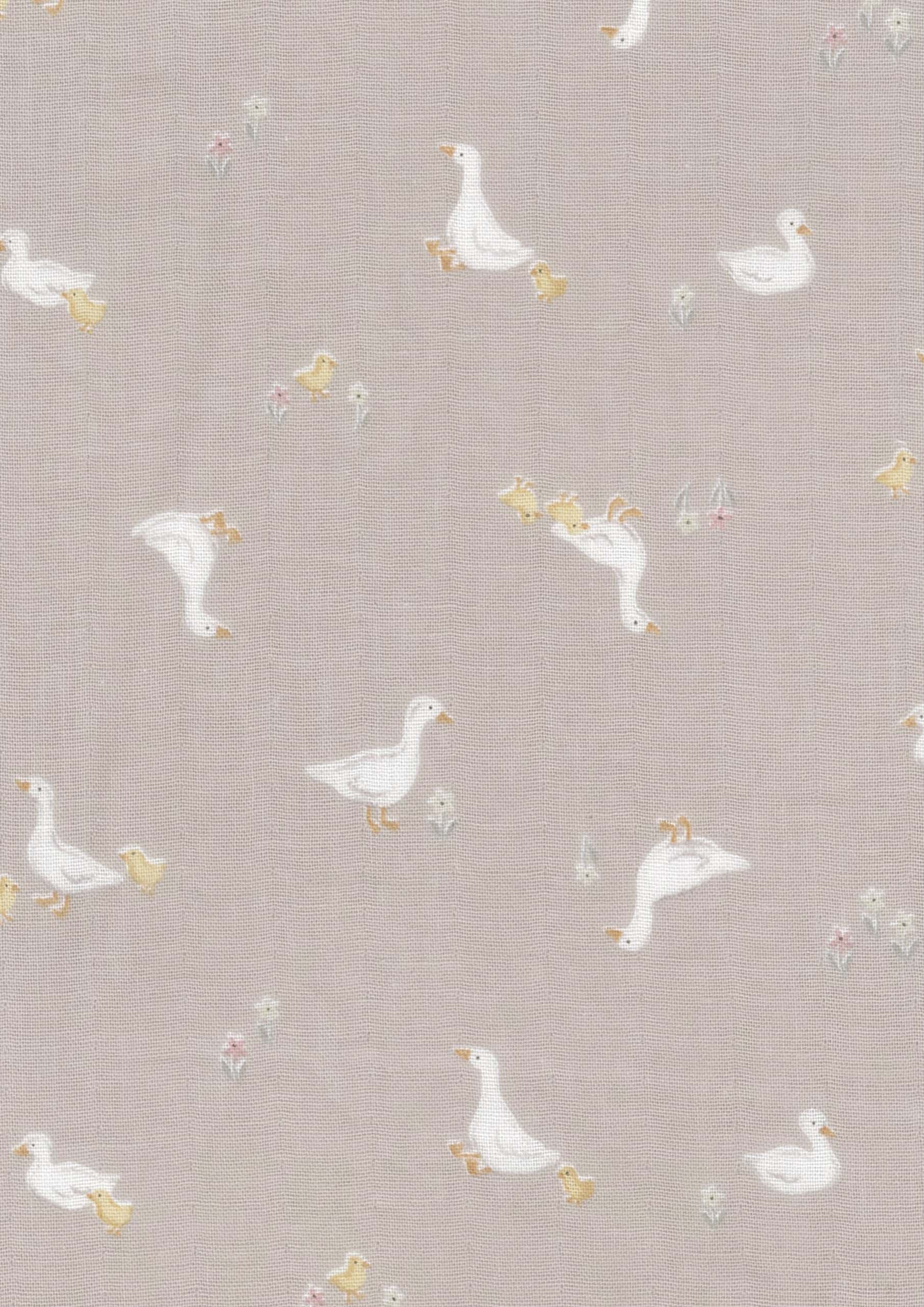 ROYALBABY 色號 08