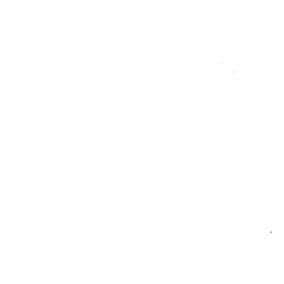 Selvedge棉系列 先染20支竹節斜紋布 色號 02