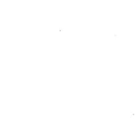 Selvedge棉系列 先染10支竹節斜紋布 色號 02