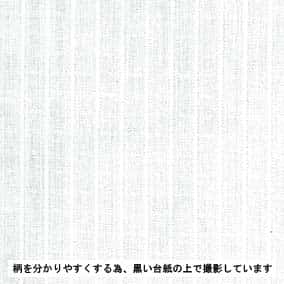 有機棉多臂織細棉布 色號 02