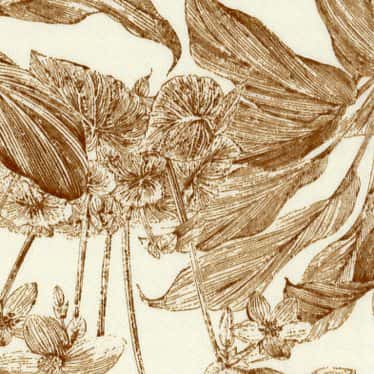 Sildeuse緞面緹花復古單色印花 色號 02