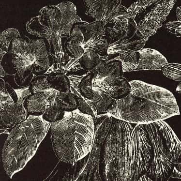 Sildeuse緞面緹花復古單色印花 色號 03