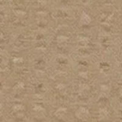 SOMOLON 泡泡條紋布 色號 08