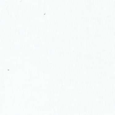 Yorilax 棉細孔眼布（高島縐） 色號 01
